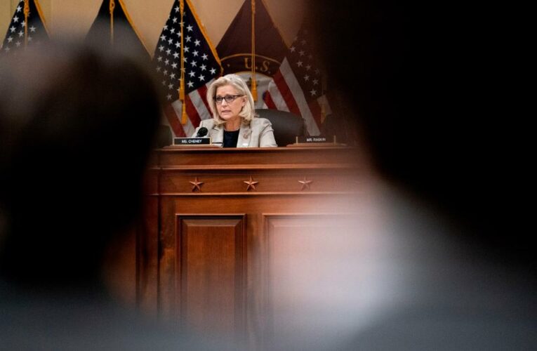 Liz Cheney’s latest move against Trump highlights her distinct path among Republicans