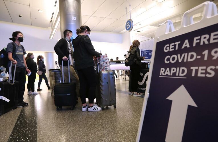 Is it time to cancel your holiday plans? An expert weighs in