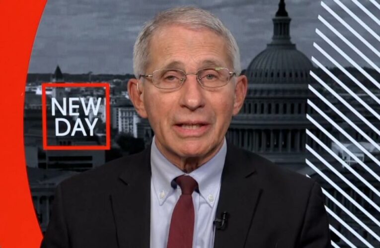 Fauci on Fox News host: He ‘should be fired on the spot’