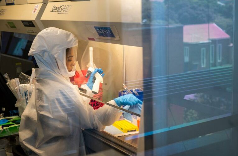 South Africa has passed its Omicron outbreak peak, top researcher says