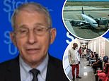 ‘We all feel very badly’: Fauci says America is revaluating South Africa travel ban