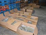Police bust down door to catch cannabis gang that used frozen meat firm to import £3.25m of drugs