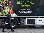 Lorry driver shortage crisis ‘is easing’: Higher wages lead to ‘cautious optimism’