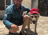 Pen Farthing’s animal mission ‘DID put soldiers at risk when they were given priority over Afghans’