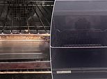 Professional cleaner: This is my VERY simple secret for cleaning an old grimy oven