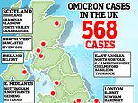 SAGE scientists warn Plan B WON’T solve Omicron crisis in hint ‘Christmas lite’ may be needed