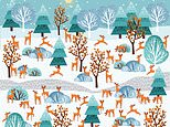 Festive brainteaser challenges you to  spot the lone doe in this festive forest of reindeer