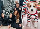 Animal rights campaigners slam ‘cruel’ dog pjs trend