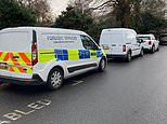 Playing children’ discover woman’s body in south London park
