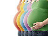 Electronic nose gadget ‘sniffs’ out risk to pregnancy from the dangerous condition pre-eclampsia
