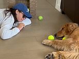 VIDEO: Golden Retriever Hudson plays ‘lazy fetch’