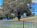Devonport jumping castle: Two children dead after falling 10m at Hillcrest Primary School