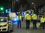 Four young children die in house fire in south London 