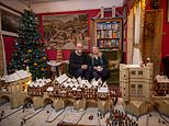 Lego-loving Cambridge couple show off a 21ft-long replica of Old London Bridge in their living room