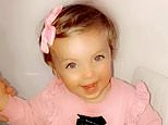 DOMINIC LAWSON: Social workers don’t question the devastating danger of modern broken families&nbsp;