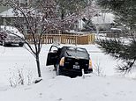 Terrified driver screams for help as her Prius slides backward down a snowy hill in Oregon [Video]