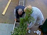Pensioner crashes to the ground as he puts up fairy lights outside his house [Video]
