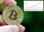 Top 0.01% of Bitcoin holders control nearly a THIRD of the digital currency worth $232 billion
