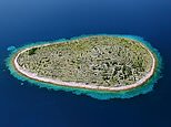 Pictured: Bavljenac, the incredible uninhabited Croatian island that looks like a giant fingerprint