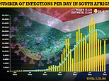 Omicron continues to fade in ground zero South Africa as Covid cases fall for the FOURTH day