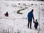 Poll shows recipe for our perfect Christmas Day 