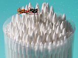 Artist Tatsuya Tanaka creates festive scenes with miniature models made from everyday objects