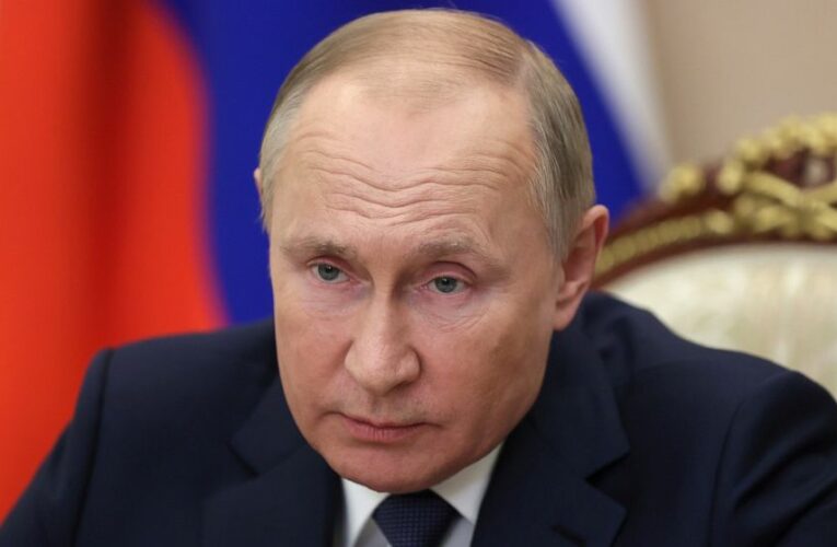 Putin hopes WHO soon approves Russia’s Sputnik V vaccine