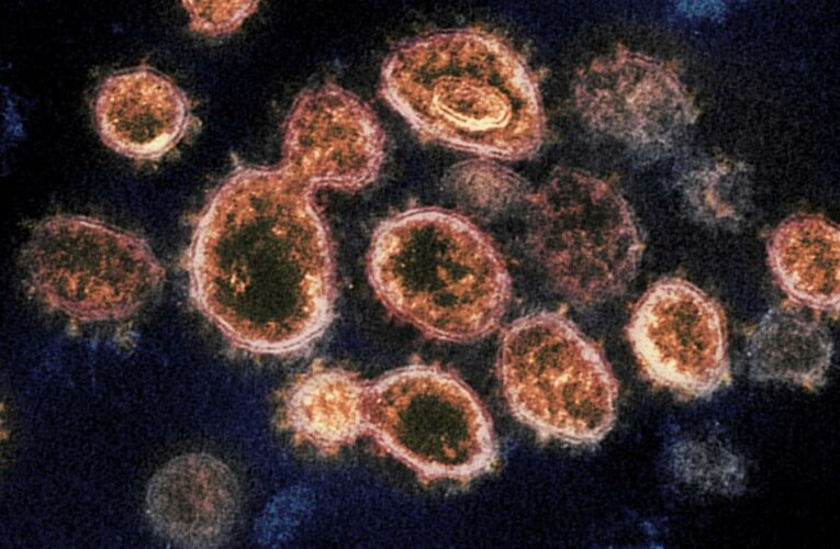 5 reasons you should not deliberately catch Omicron to ‘get it over with’