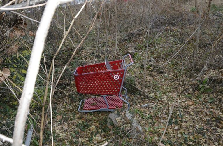 Anthony Robinson, 35, has already been charged with the killing of two women, but a newly discovered body would be the fifth linked to him