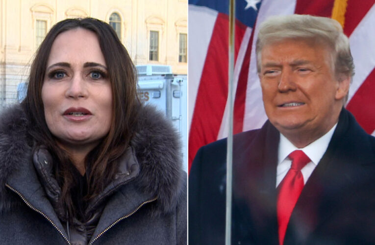 Ex-Trump aide describes the worry with Trump’s ‘fragile ego’