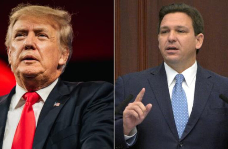 Trump takes shot at ‘gutless’ politicians after this DeSantis interview