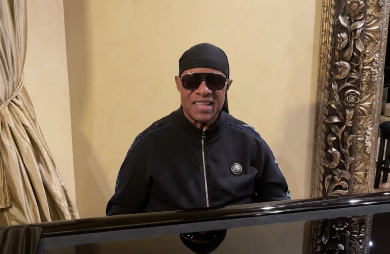 Stevie Wonder is the latest to push Congress to act