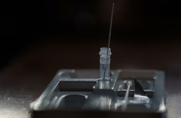 How to get free at-home Covid-19 tests from the government