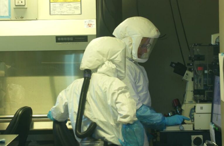 Country shows what life is like after massive Omicron wave