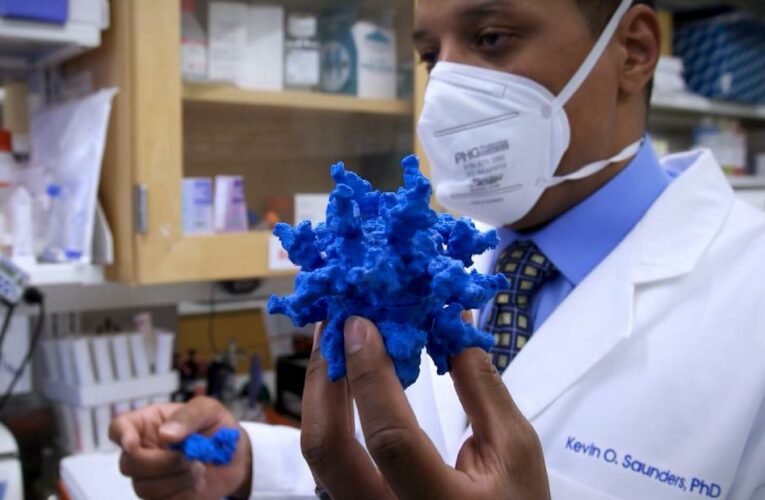 A universal vaccine could be the future of the coronavirus fight