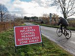 Now Britain gets hit by BIRD FLU: Health chiefs detect strain in person in South West England
