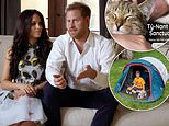 Prince Harry and Meghan Markle’s charity Archewell raised less money in 2020 than tiny cat sanctuary