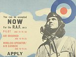 Medals of pilot who fronted RAF’s recruitment campaign in WWII set to fetch &pound;120,000 at auction