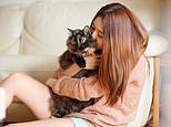 Can’t afford to heat your house? Cuddle the cat, says Britain’s third-biggest energy supplier