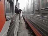 Runaway horse gallops along tracks beside a moving train in Egypt [Video]