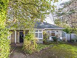 Rundown 1930s suburban home that hides one-acre of secret garden at the back is for sale