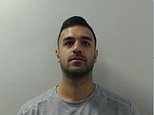 Trainee employment lawyer, 27, is jailed for six years
