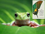 A book which proves the planet simply can’t do without insects