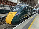 Now train operators blame the wrong kind of SUNLIGHT for rail chaos