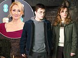 US movie producers plan new woke Harry Potter film