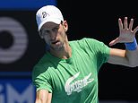 Novak Djokovic begins last-gasp bid to dodge deportation from Australia in ‘final’ court battle