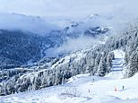Five-year-old British girl is killed in ski crash horror in the Alps