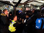 McFlurry of FISTS! Moment police are attacked during mass brawl ‘involving ‘100 teenagers’