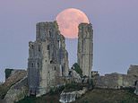 UK weather: Day of blue skies and sunshine  before Wolf Moon tonight