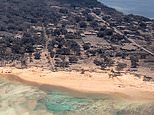 Tonga eruption: 50ft tsunami destroyed entire village as death toll rises